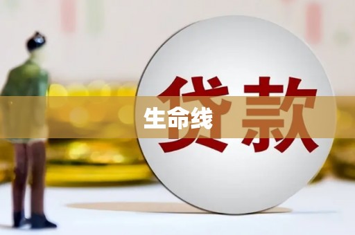 淮上生命线