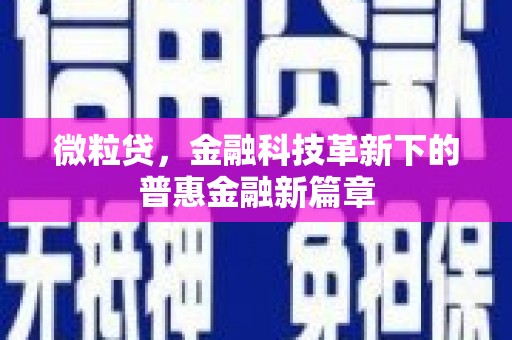 淮上微粒贷，金融科技革新下的普惠金融新篇章