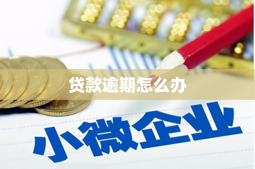 淮上贷款逾期怎么办