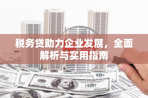 淮上税务贷助力企业发展，全面解析与实用指南