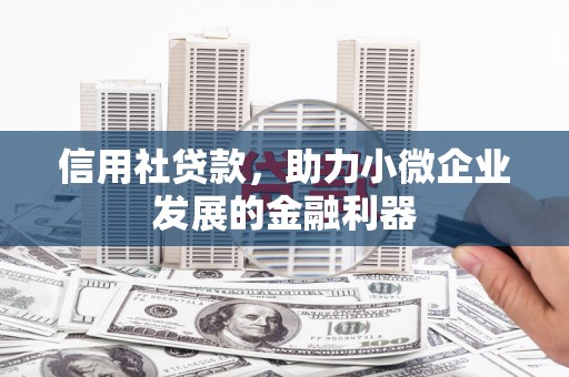 淮上信用社贷款，助力小微企业发展的金融利器