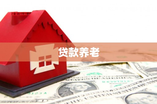 淮上贷款养老