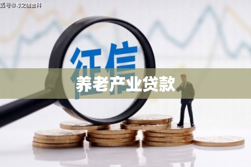 淮上养老产业贷款