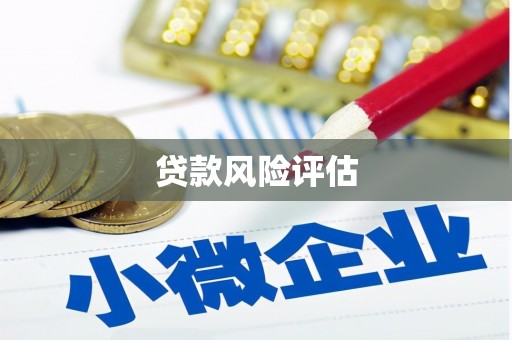 淮上贷款风险评估