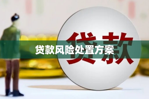 淮上贷款风险处置方案