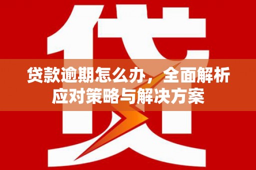淮上贷款逾期怎么办，全面解析应对策略与解决方案