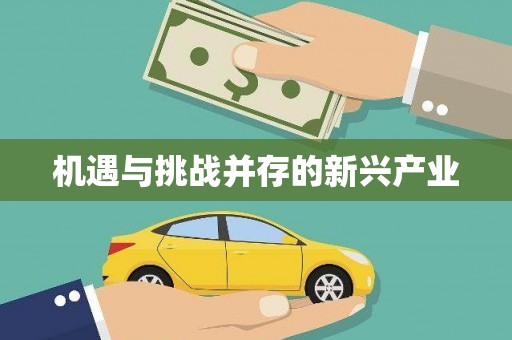淮上机遇与挑战并存的新兴产业