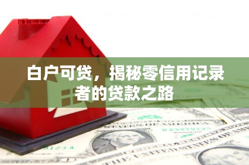 淮上白户可贷，揭秘零信用记录者的贷款之路