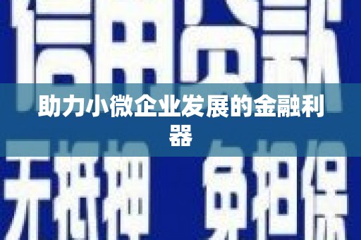 淮上助力小微企业发展的金融利器