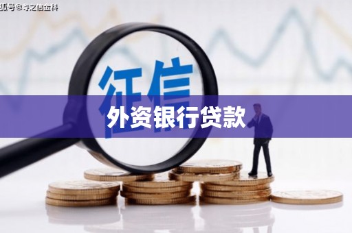 淮上外资银行贷款