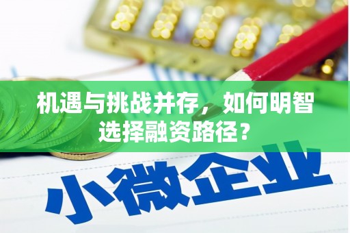 淮上机遇与挑战并存，如何明智选择融资路径？