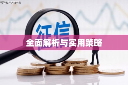 淮上全面解析与实用策略