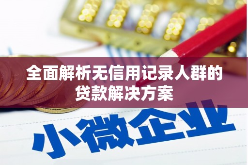 淮上全面解析无信用记录人群的贷款解决方案