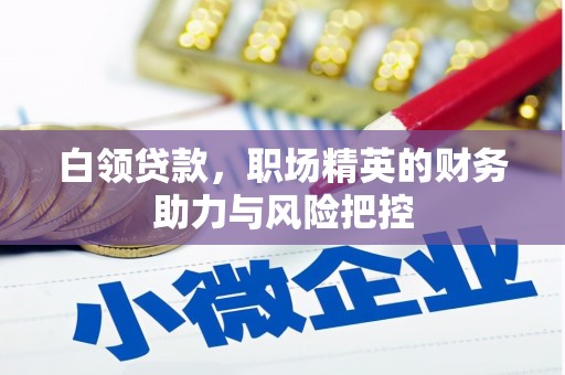 淮上白领贷款，职场精英的财务助力与风险把控